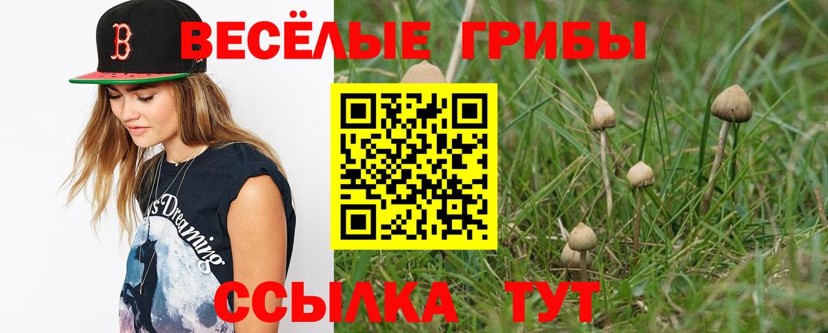 Псилоцибиновые грибы GOLDEN TEACHER  Галлюциногенные грибы Psilocybine cubensis  Кунгур  Вход с VPN 